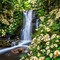Waterfall with Vanilla Flowers - gratis png animerad GIF