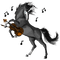 unicorn - zadarmo png animovaný GIF