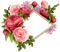 flowers peony, peonies bp - безплатен png анимиран GIF