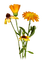 flores  dubravka4 - png ฟรี GIF แบบเคลื่อนไหว