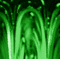 fo vert green  fond background encre tube gif deco glitter animation anime - GIF animasi gratis GIF animasi