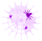 Spiders.Web.Purple - darmowe png animowany gif