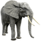Kaz_Creations Elephant - бесплатно png анимированный гифка
