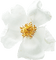 Wild Rose - 免费PNG 动画 GIF