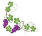 Kaz_Creations Deco Vine Fruits