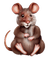 Kaz_Creations Rat-Mouse - PNG gratuit GIF animé