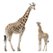Kaz_Creations Giraffe - zadarmo png animovaný GIF