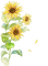 sunflower Bb2 - PNG gratuit GIF animé