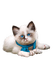 chat  idca - Free PNG Animated GIF