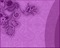 bg-lila--- purple- - png gratuito GIF animata