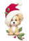 Kaz_Creations Animals Animated Christmas Dog Pup - Free animated GIF Animated GIF