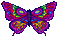 butterfly - Безплатен анимиран GIF анимиран GIF