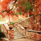 soave background animated autumn vintage stairs