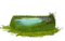 Kaz_Creations Grass Garden - Free PNG Animated GIF