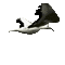 gull katrin - 無料のアニメーション GIF アニメーションGIF