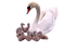 swan mother - бесплатно png анимированный гифка