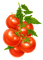 tomatoes Bb2 - png gratuito GIF animata