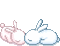Bunny cute - Bezmaksas animēts GIF animēts GIF