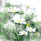 dolceluna background animated daisy flower - GIF animé gratuit GIF animé