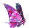 butterflies katrin - безплатен png анимиран GIF