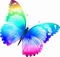 Alpha Bright Butterfly - png gratis GIF animasi
