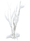 cecily-arbre hiver neige