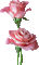 цветы - Bezmaksas animēts GIF animēts GIF