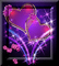 fiolet,fond,deko,rose,cœur, Orabel - zadarmo png animovaný GIF