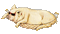 pig schwein porc fun beach hammock - Darmowy animowany GIF animowany gif