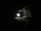 Clair de lune , clair de lune ... - Free PNG Animated GIF