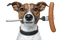 Kaz_Creations Dog Pup Dogs - gratis png geanimeerde GIF