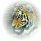 tube tigre - PNG gratuit GIF animé