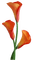 fleurs ( - png gratis GIF animado