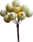 flower-blomma-vit-bär-minou52 - bezmaksas png animēts GIF