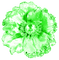 Flower.Green - zdarma png animovaný GIF
