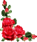 red roses - 無料のアニメーション GIF アニメーションGIF