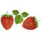 2 fraises - gratis png geanimeerde GIF