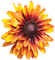 Fleur.Flower.Sunflower.Tournesol.Victoriabea - gratis png geanimeerde GIF