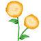 Fleur Pompon Jaune:) - Free PNG Animated GIF