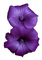 fleur violette.Cheyenne63 - δωρεάν png κινούμενο GIF