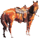 western horse, i think an american quarter - 無料のアニメーション GIF アニメーションGIF
