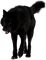 black wolf by nataliplus - Free PNG Animated GIF