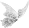 wings Bb2 - png gratuito GIF animata