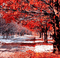 Rena red Winter background