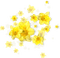 flower - nemokama png animuotas GIF