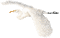 Stork - GIF animate gratis GIF animata