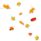 Leaves.Yellow.Orange.Red - PNG gratuit GIF animé