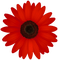 Kaz_Creations Red Flower