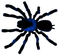 Spider.Black.Blue - PNG gratuit GIF animé