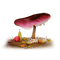 autumn deco fruit flowers mushroom kikkapink - безплатен png анимиран GIF